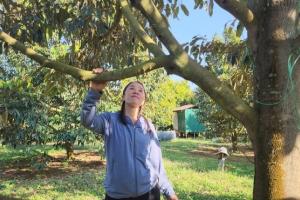 Loại cây ‘vươn cao đón gió’ giúp nữ nông dân đút túi gần 4 tỷ đồng mỗi năm