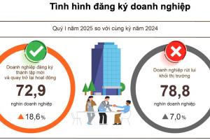 Đẩy mạnh cải cách thể chế, 'dồn sức' phát triển kinh tế tư nhân