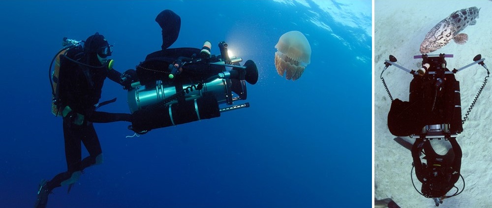 Khám phá thế giới 8K: Nhà làm phim dưới nước Pawel Achtel chia sẻ về kỷ nguyên mới của điện ảnh độ phân giải cao