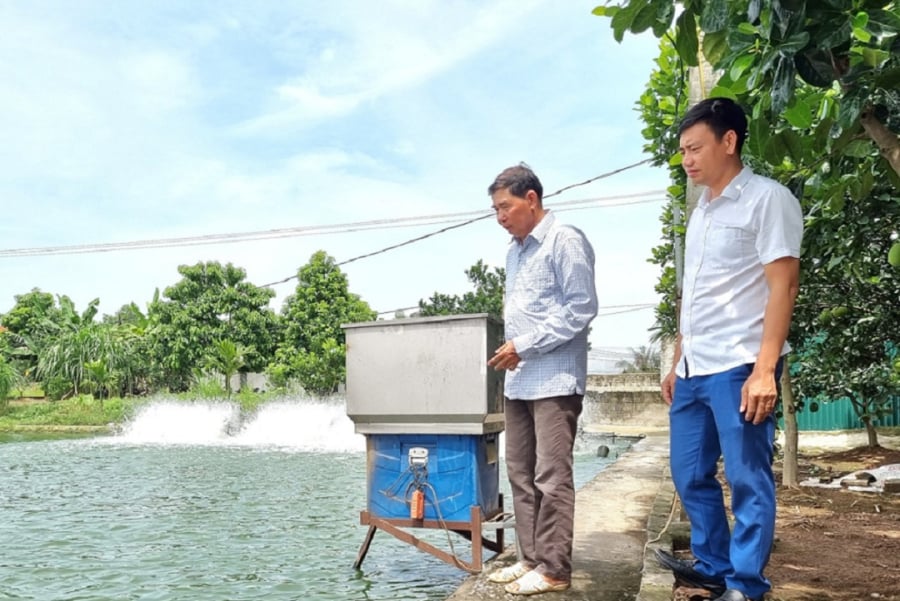 Bỏ túi 4 tỷ mỗi năm nhờ nuôi cá ‘siêu to khổng lồ’: Bí quyết thành công của anh nông dân Ninh Bình