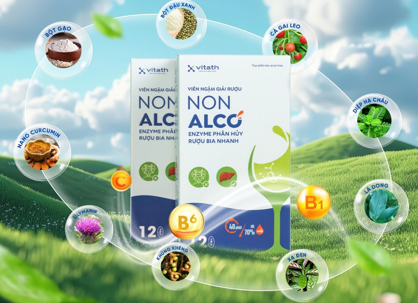 Điểm danh những dược liệu tự nhiên hỗ trợ giải độc gan, giảm say rượu trong viên ngậm NON ALCO